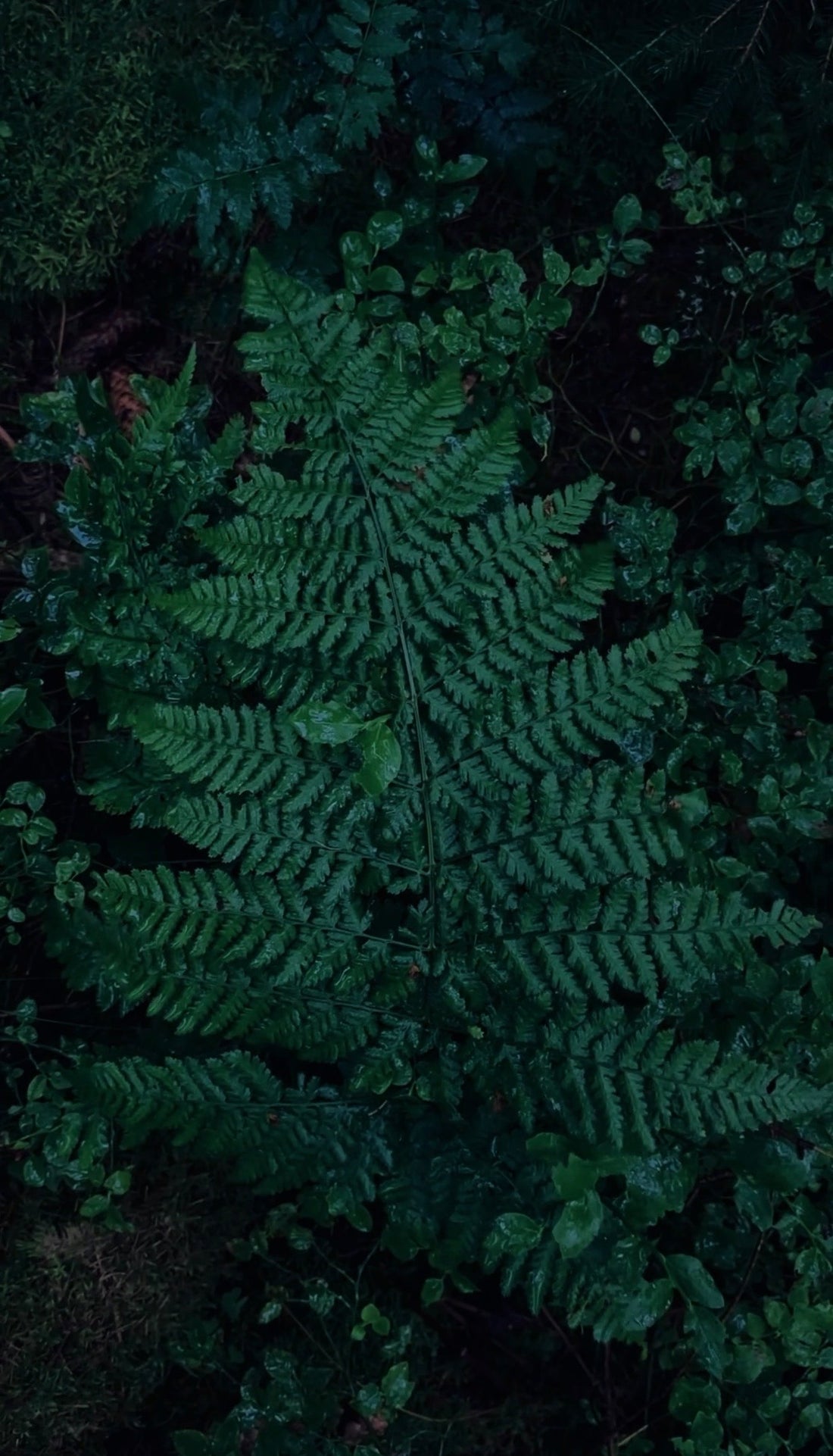 NACHHALTIG WANDERN: SO HINTERLÄSST DU KEINE SPUREN